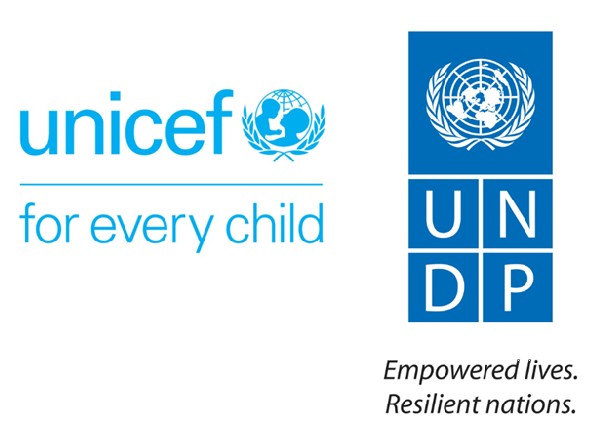UNDP partner logo